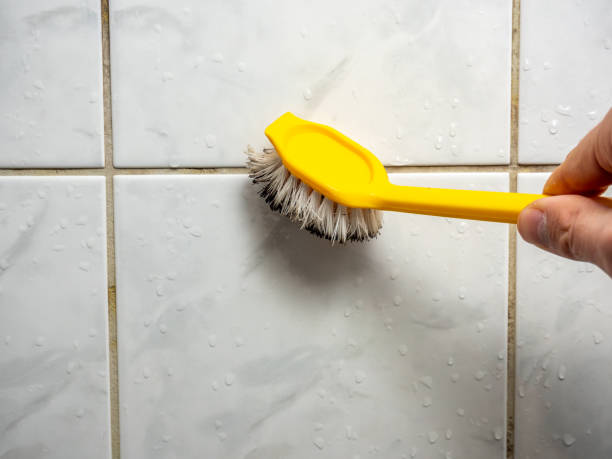 Best Local Mold Removal Service  in Seeley, CA