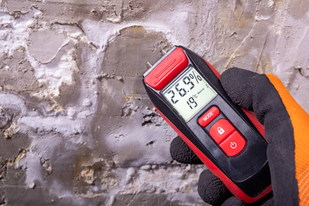 Best Mold Testing  in Seeley, CA