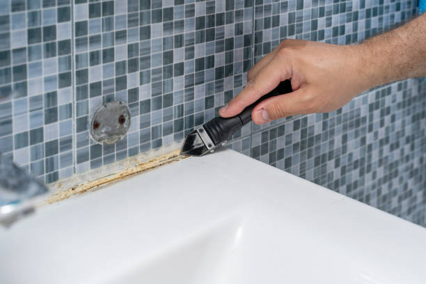 Best Black Mold Removal  in Seeley, CA